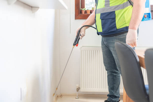 Best Insect Control  in Glendale, AZ