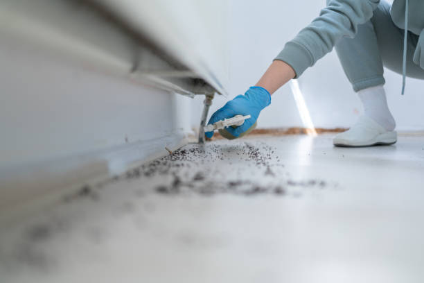 Trusted Glendale, AZ Pest Control Experts